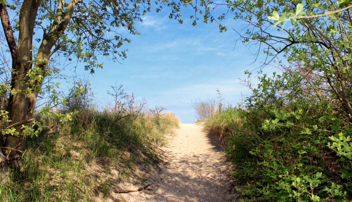 Auf-zum-Strand-in-Ückeritz