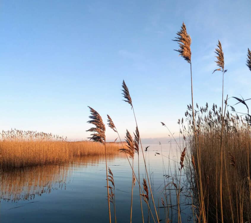 achterwasser-an-einem-herrlichen-sommermorgen