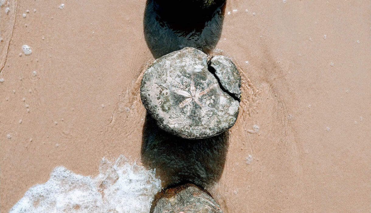 barfuss-am-blankenfohrter-strand