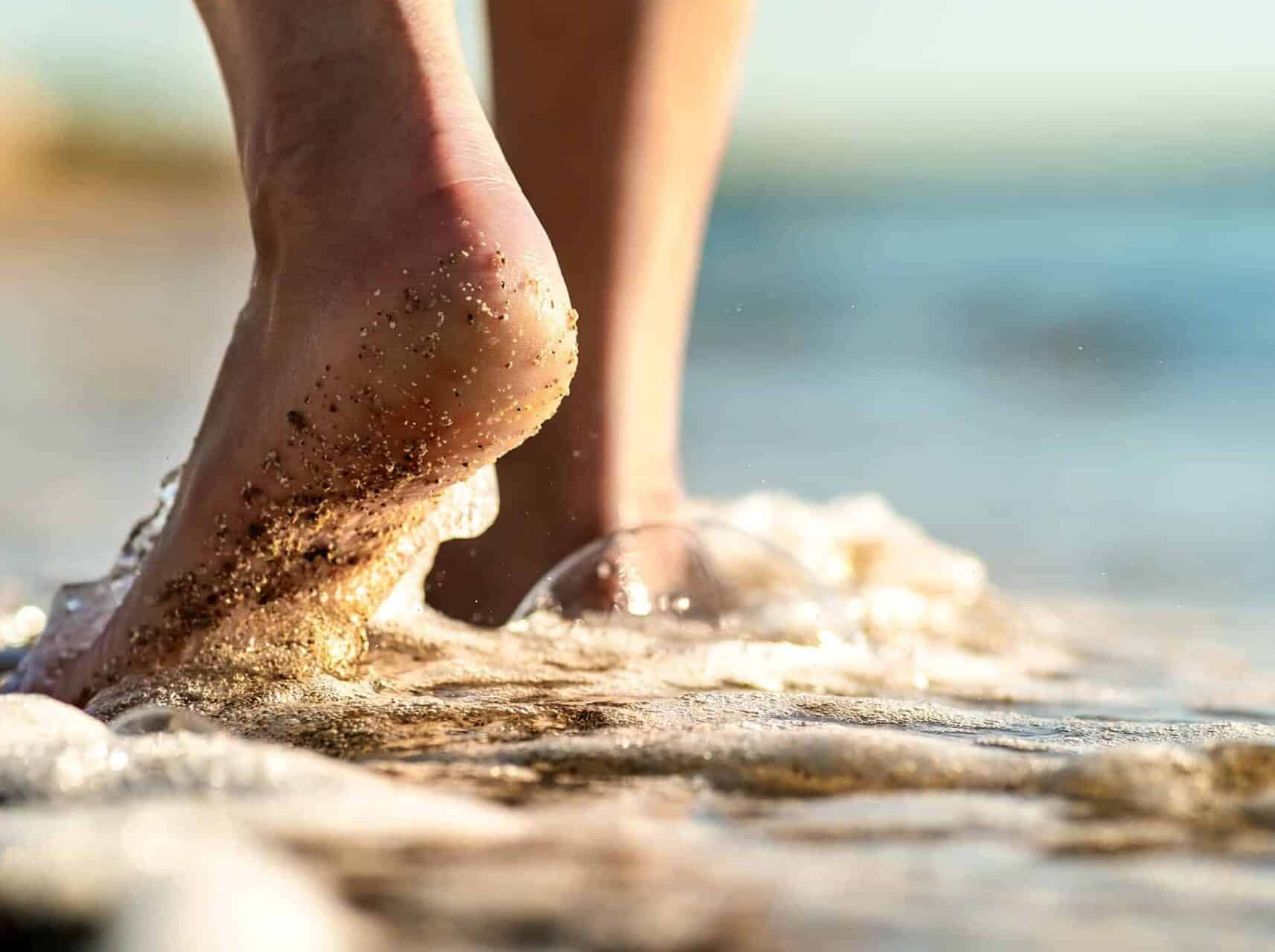 Nur durch einen Dünenstrich vom Ostseestrand getrennt 1