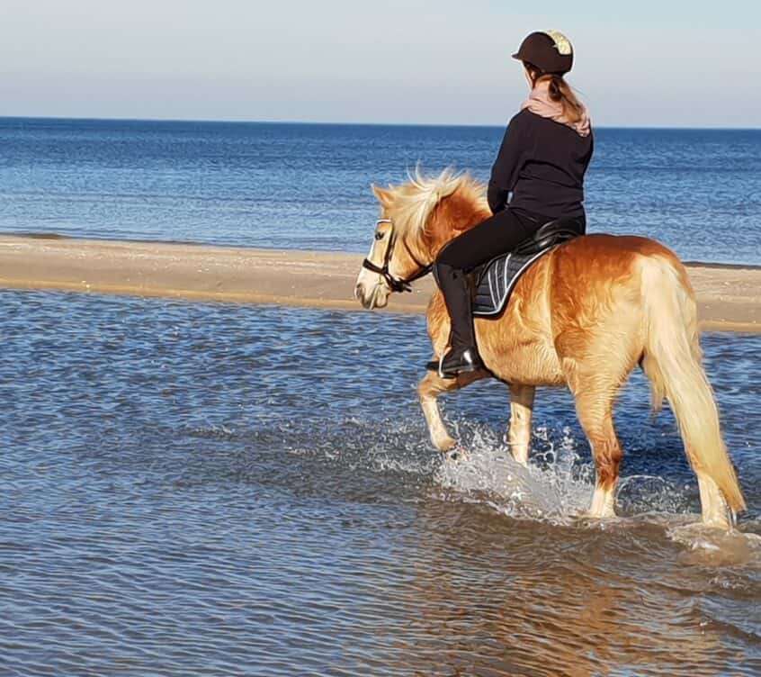 strandspaziergang-auf-dem-pferd-auf-usedom strandspaziergang-auf-dem-pferd-auf-usedom